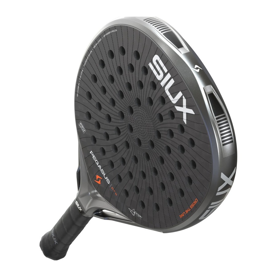 Siux Pegasus Pro Storm Grey 2026 4