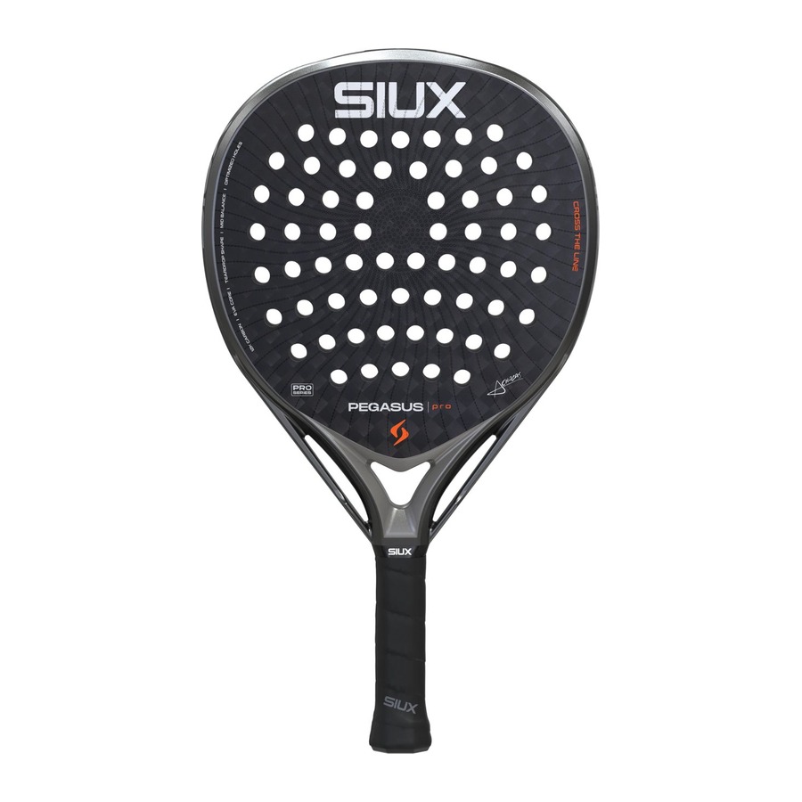 Siux Pegasus Pro 2026 Storm Grey